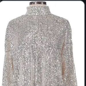 H&M women’s metallic sequence, long sleeve high neck blouse. Large